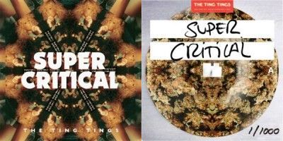 the ting tings_supercritical